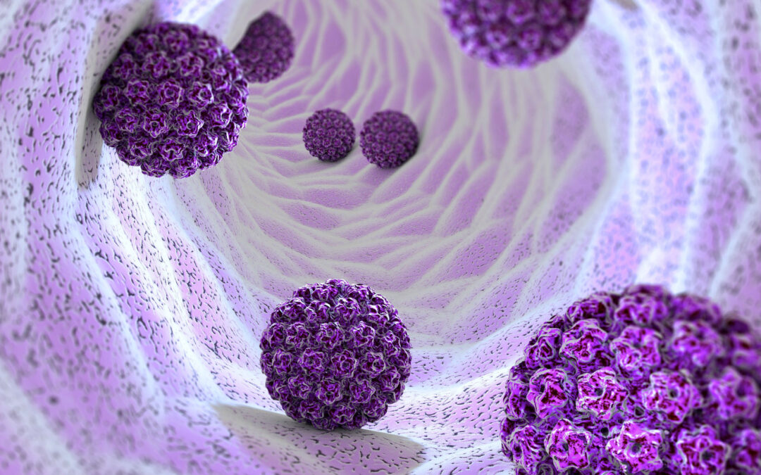 Virus del Papiloma Humano (VPH / HPV)